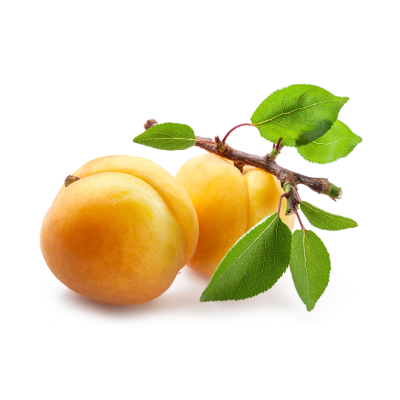 Albicocca-400×400-1