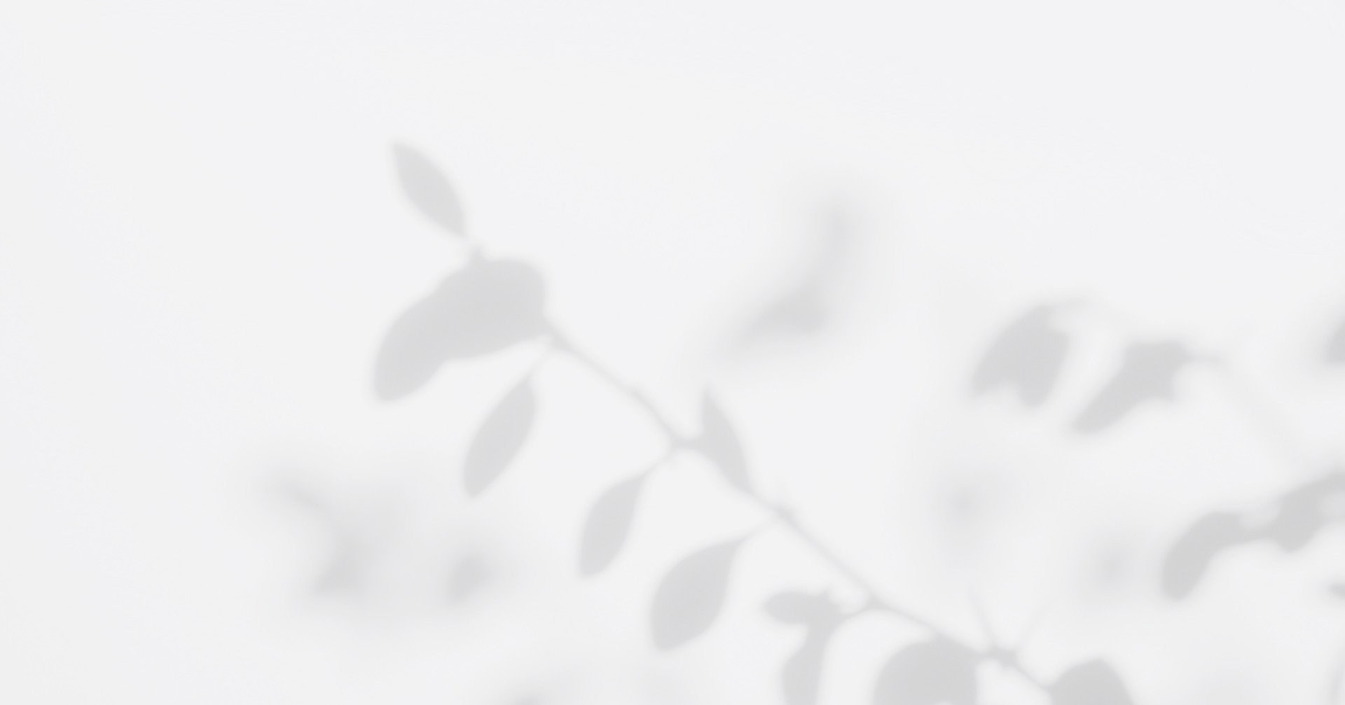 bg_01-ed