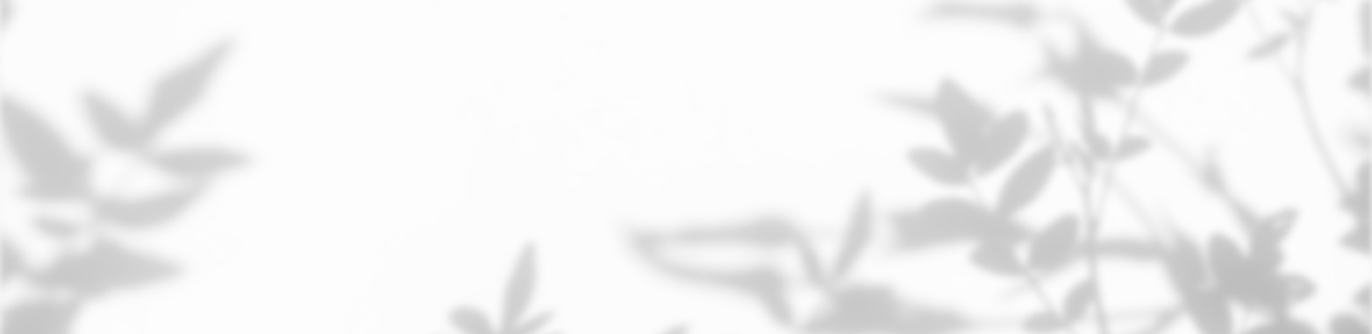 bg_02 (1)