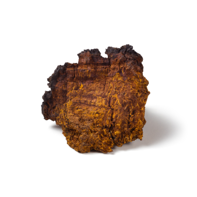 fungho-chaga-400×400-1