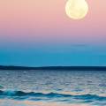 Per la Luna nuova in Leone del 24 luglio, la parola d’ordine è luce!