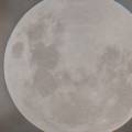 21 ottobre 2025: luna nuova in Bilancia  e stagione dello Scorpione
