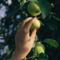 Comfort food autunnale: nutrimento per la pelle, coccole per l’anima